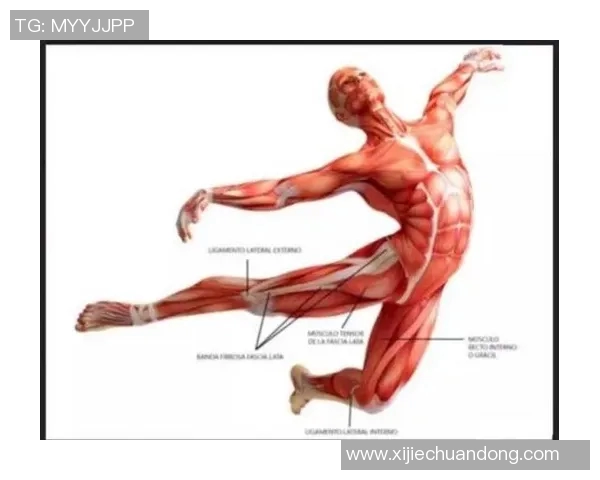 足球明星如何通过筋膜刀提升竞技状态与恢复能力揭秘 足球明星如何通过筋膜刀提升竞技状态与恢复能力揭秘
