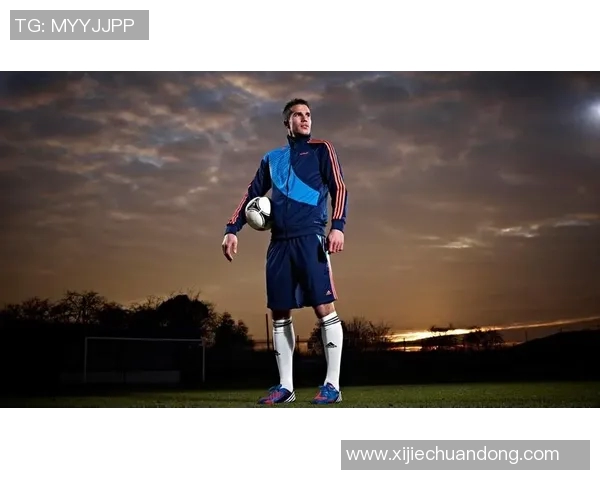 足球明星罗宾范佩西的辉煌职业生涯与传奇瞬间回顾