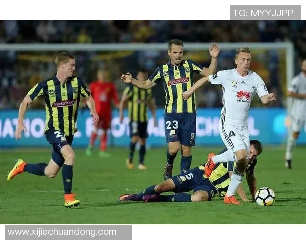 墨尔本城与墨胜利精彩对决直播全程回顾与分析