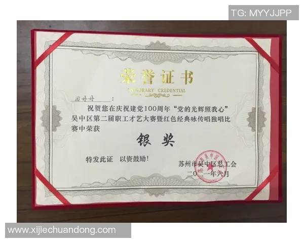 欧洲杯足球赛的历史演变与未来展望：从辉煌到挑战的足球盛宴